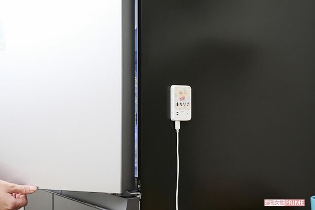 毎日開け閉めするから異変がわかりやすい【ネコリコ】まもりこ