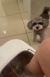 お風呂につかりたくないダルい日は足湯で全身を温めて一日の疲れをとります