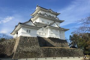 「日本的なものだから」と訪日した友人たちを連れて行くそう