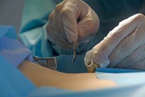 ※画像はイメージです