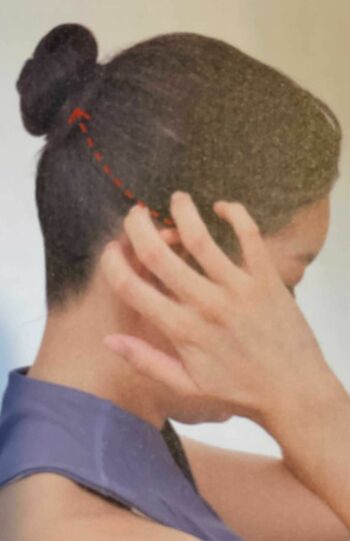 「頭のリンパケア」（2）両耳の後ろから頭頂部、後頭部の生え際から頭頂部も同様に行う