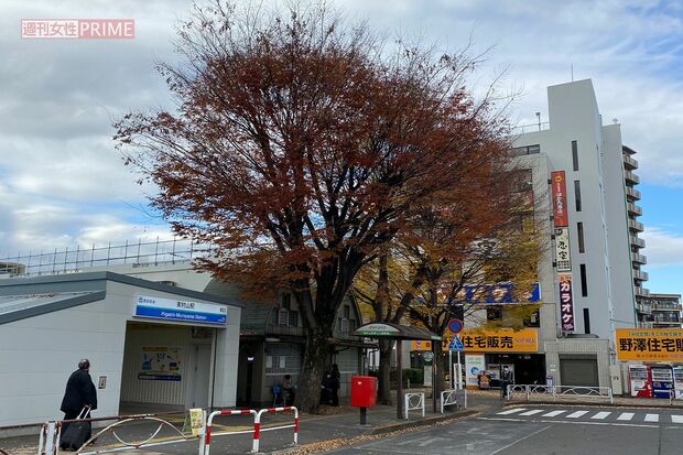 『志村けんの木』は東村山駅東口に3本、そびえ立っている