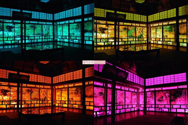 『青林寺』ライトアップでは、とっても幻想的な雰囲気に