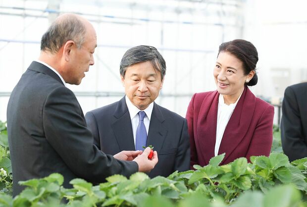 約2時間滞在された香川県の農業試験場ではイチゴをお土産に（11月19日）