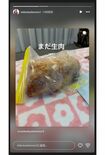 グレート義太夫さんの棺に生肉を入れたと綴った橋本志穂(本人インスタグラムより)