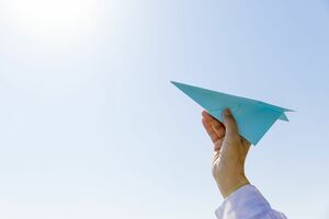 滝沢は羽ばたく翼の意志を尊重したのか（写真はイメージです）