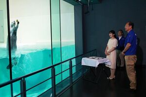8月1日、鳥羽水族館を訪問された愛子さま。ラッコのメイが“イカミミジャンプ”を成功した瞬間