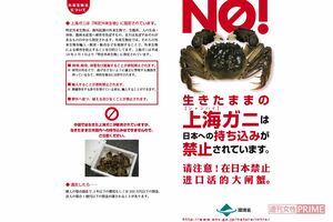 注意を呼び掛ける環境省のポスター（同省より）