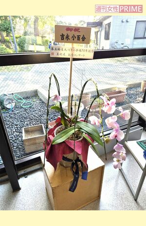 吉永小百合が『第五福竜丸展示館』に贈った花は、今も同館に飾られている