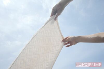 ※写真はイメージです