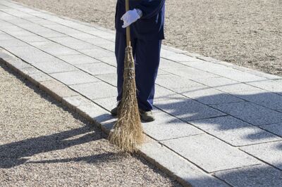 写真はイメージです