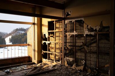 写真はイメージです