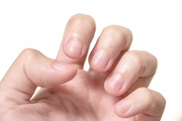 ※写真はイメージです