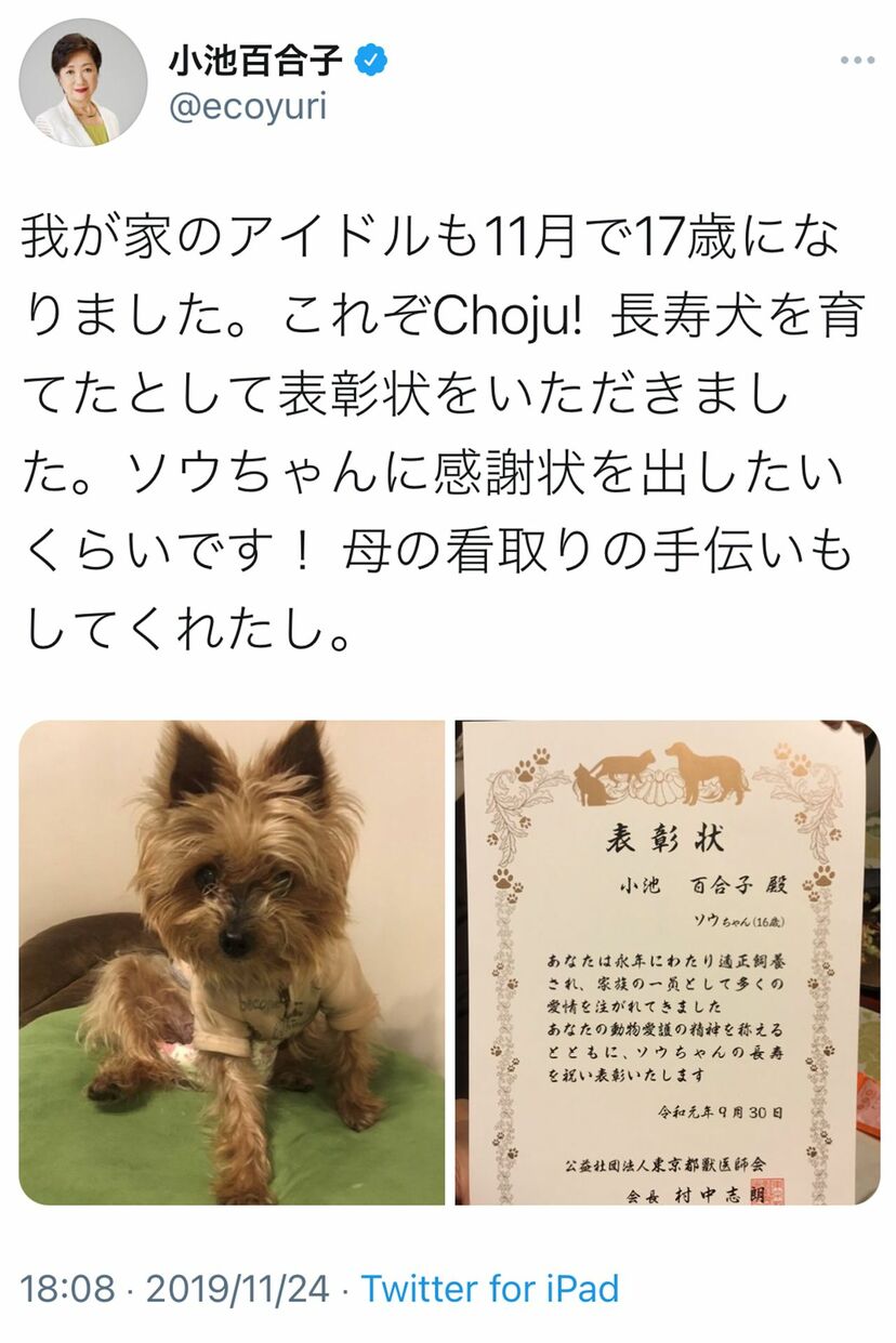 画像 写真 小池百合子都知事も愛犬を亡くし ペットロス 絶望と後悔からの這い上がり方 週刊女性prime