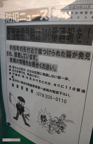 胴体が真っ二つ ぶくぶくと内臓が露出 住民がおののく 猫の変死体が続出 の怪 週刊女性prime