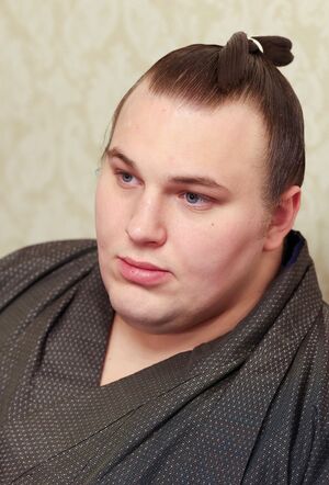 ウクライナ出身の安青錦（写真／産経）