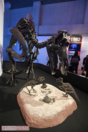 「よい母親トカゲ」が学名由来のマイアサウラ。恐竜が子育てをする可能性を初めて示した