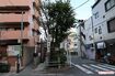 縁切榎は幅約4メートル、奥行き約10メートルと狭くて細長い
