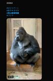 父・シャバー二の登場で緊張するキヨマサ(Xより)