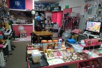 駄菓子屋店長、小6女児の胸を触り逮捕 “店内にコスプレ” の事情を母親が明かす