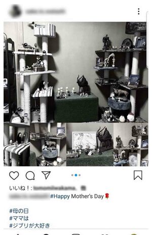 母の日には母への感謝を綴っていた（芦名星さんのものと思われるインスタグラム）