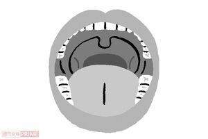 口蓋垂の裏まで！　イラスト／ふるやますみ