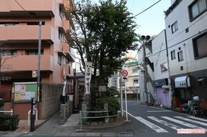 縁切榎は幅約4メートル、奥行き約10メートルと狭くて細長い