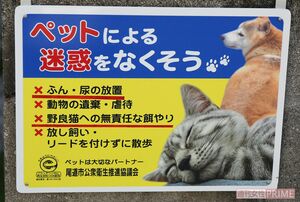 犬猫への餌やりに対する注意喚起の看板も