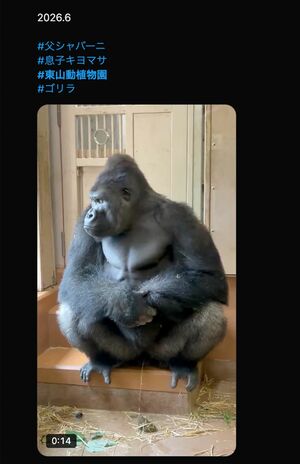 父・シャバー二の登場で緊張するキヨマサ(Xより)