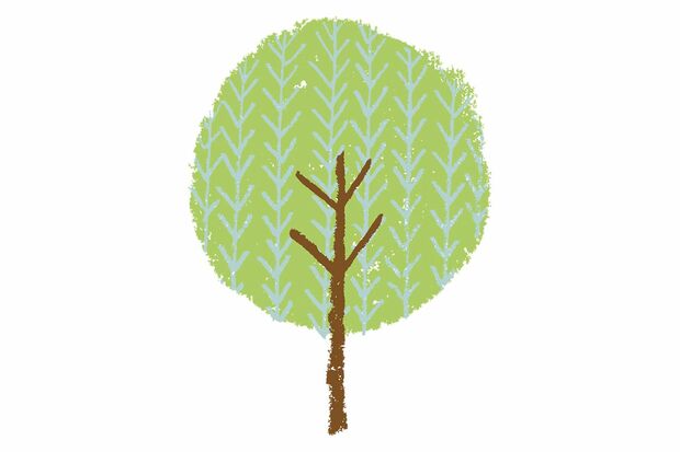 ※写真はイメージです