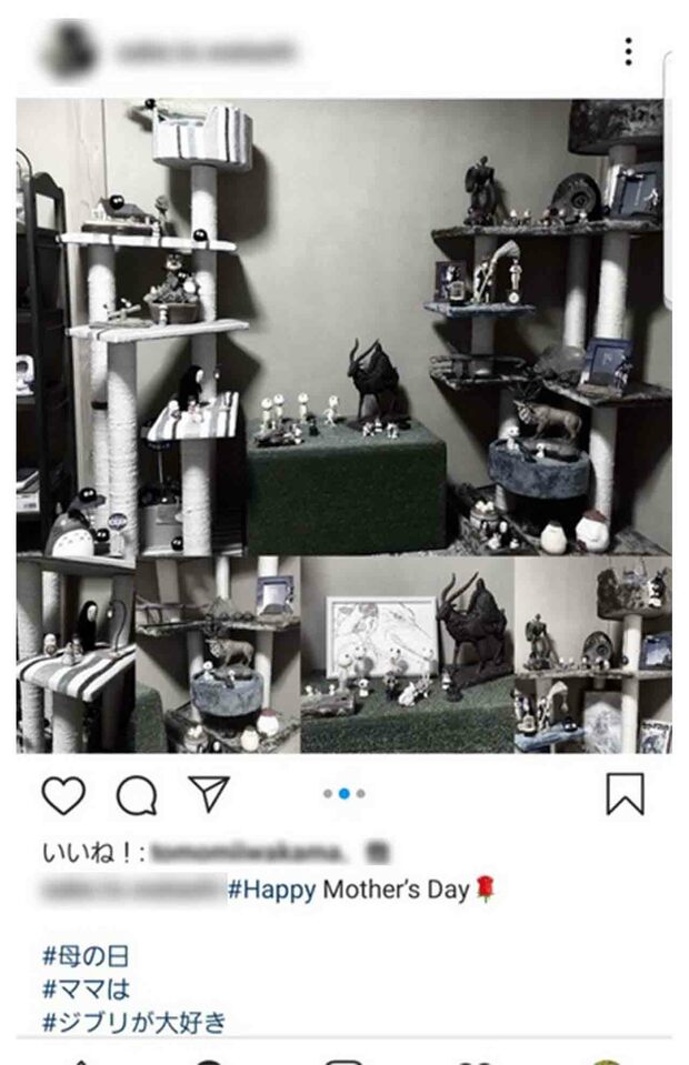 母の日には母への感謝を綴っていた（芦名星さんのものと思われるインスタグラム）