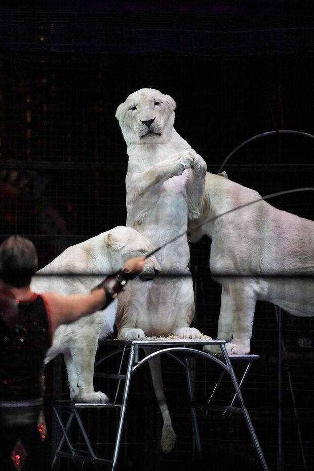 撮影／渡邉智裕