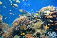 【心理診断】まるで別人?あなたの「確変」の可能性は?