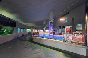 クリスマスイヴなのに貸切状態の館内　写真提供／桂浜水族館