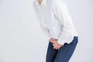 ※写真はイメージです