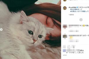 内田理央と愛猫（@rio_uchidaより）