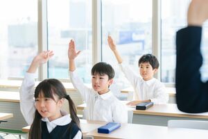 写真はイメージです