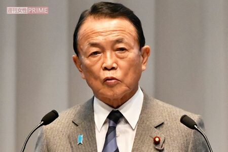 麻生太郎副総裁