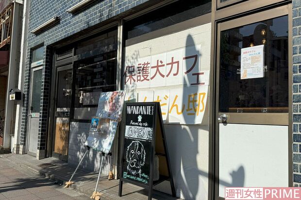 盗難被害にあった荒川区にある保護犬カフェ『わんだん邸 南千住店』