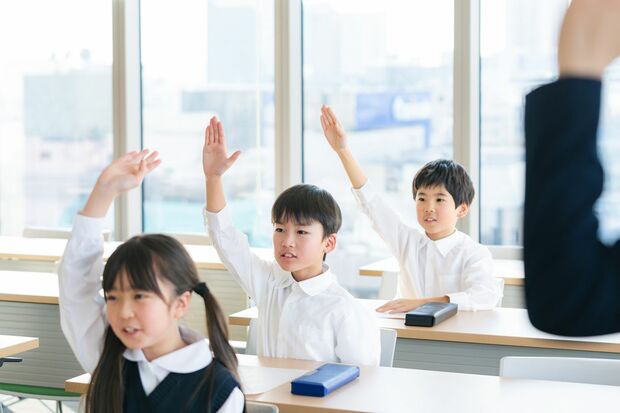 写真はイメージです