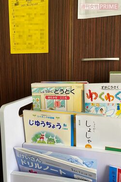 休校中、多くの小中学校はオンライン授業などを行わず家庭学習は親に任せっきりになった（写真はイメージ）