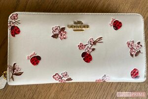 「天赦日（てんしゃび）」に買ったコーチのお財布