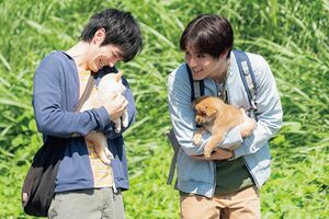 『犬部!』7/22(木・祝)全国ロードショー(C)2021『犬部!』製作委員会