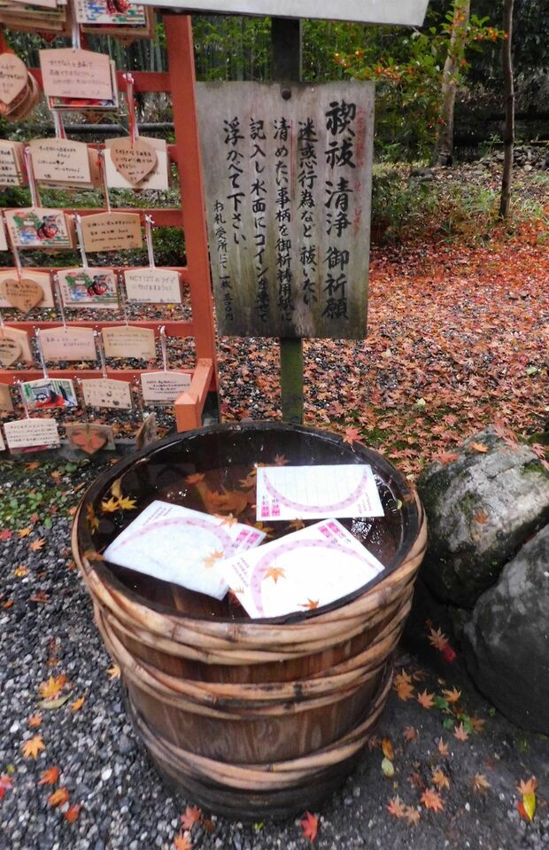 【野宮（ののみや）神社/京都】「禊祓（みそぎばらい）」では、ご祈祷用紙に別れたい人や、やめてほしい行為などを書き、水の張られた桶に用紙を浮かべ、その上にコインを置く