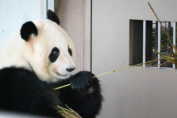 Q.おいしいお顔だ～れだ　A　（撮影／二木繁美）