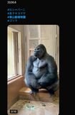 父・シャバー二の登場で緊張するキヨマサ(Xより)