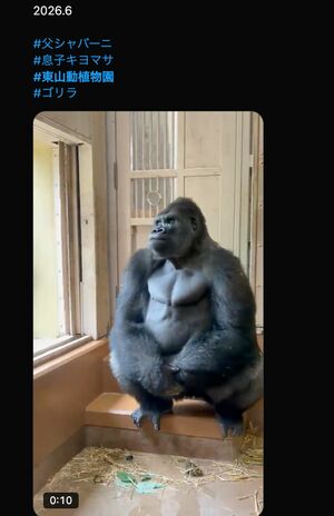 父・シャバー二の登場で緊張するキヨマサ(Xより)