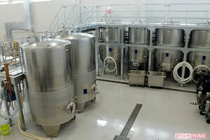 容量3000リットルの発酵タンクが並ぶ醸造エリア