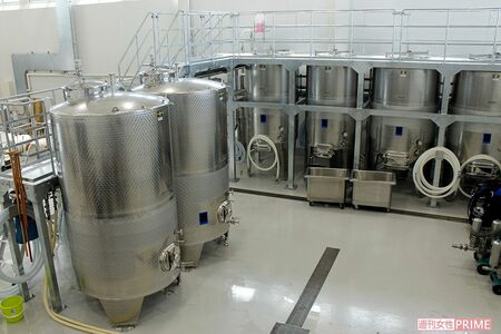 容量3000リットルの発酵タンクが並ぶ醸造エリア