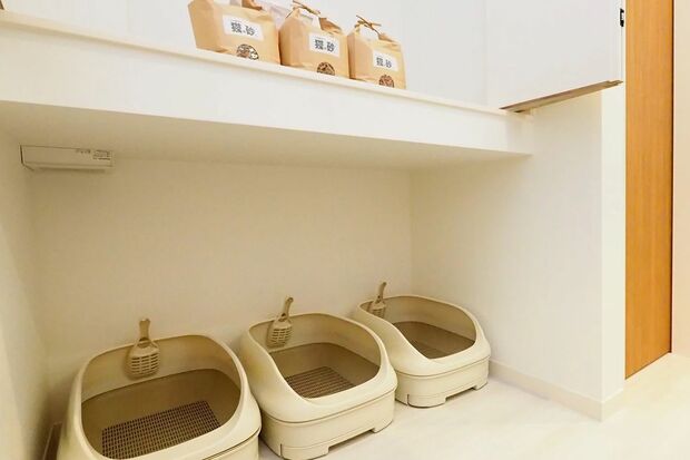 写真提供／木津イチロウさん